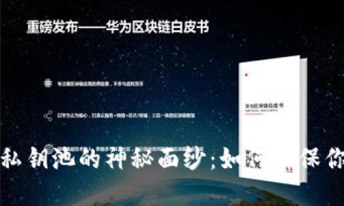 揭开比特币钱包私钥池的神秘面纱:如何确保你的数字资产安全