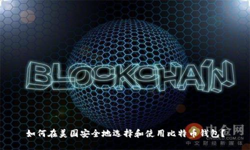 如何在美国安全地选择和使用比特币钱包？