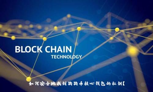 如何安全地找到狗狗币核心钱包的私钥？