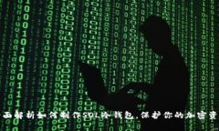 全面解析如何制作SOL冷钱
