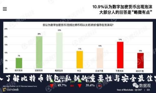 深入了解比特币钱包：私钥的重要性与安全最佳实践