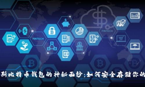 揭开俄罗斯比特币钱包的神秘面纱：如何安全存储你的加密资产