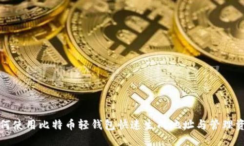 如何使用比特币轻钱包快速生成地址与管理资产