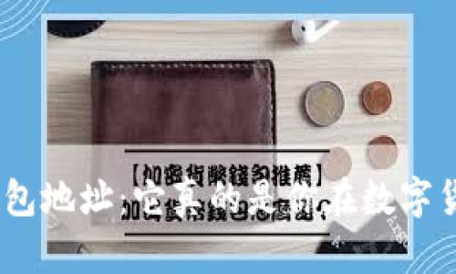 : 揭秘比特币钱包地址:它真的是你在数字货币世界的ID吗?