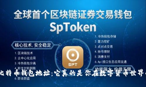 : 揭秘比特币钱包地址:它真的是你在数字货币世界的ID吗?