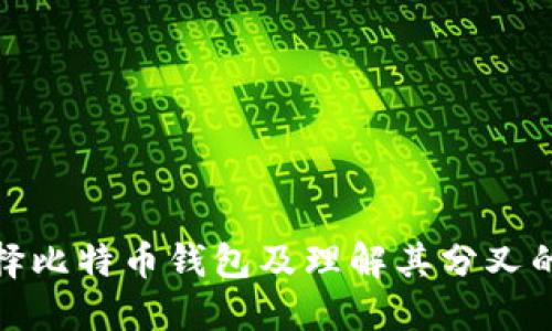 如何选择比特币钱包及理解其分叉的重要性