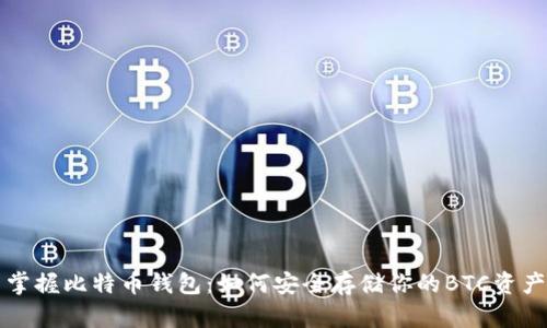 掌握比特币钱包:如何安全存储你的BTC资产