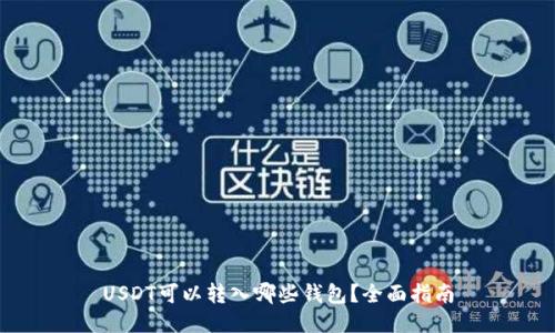USDT可以转入哪些钱包?全面指南