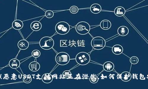 警惕!恶意USDT支付网站正在潜伏,如何保护钱包安全?