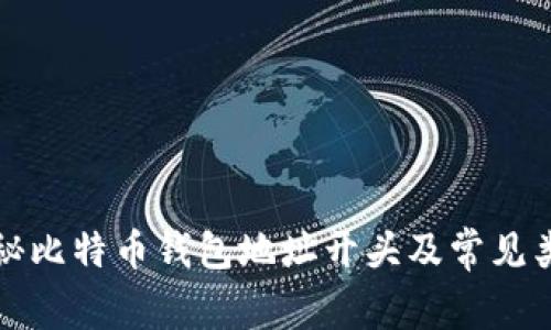 揭秘比特币钱包地址开头及常见类型
