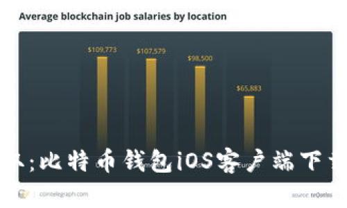 快速获取:比特币钱包iOS客户端下载全攻略