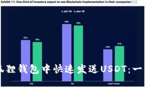 如何在狐狸钱包中快速发送USDT：一步步指南