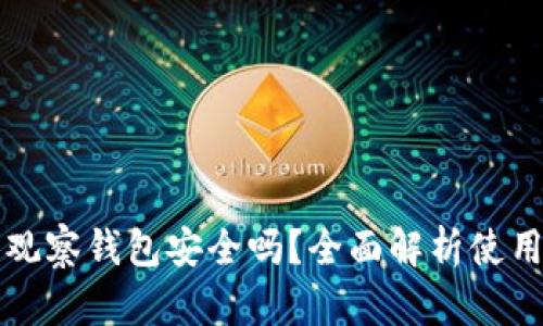 以太坊观察钱包安全吗？全面解析使用安全性
