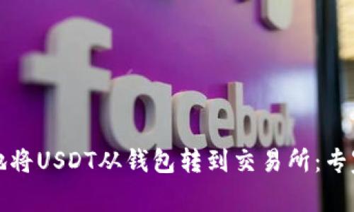 如何安全地将USDT从钱包转到交易所：专家风控指南
