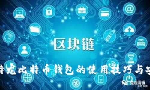 破解比特龙比特币钱包的使用技巧与安全策略