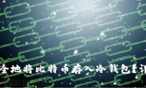 如何安全地将比特币存入冷钱包?详尽指南