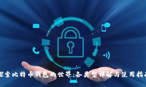 探索比特币钱包的世界：各类型详解与使用指南