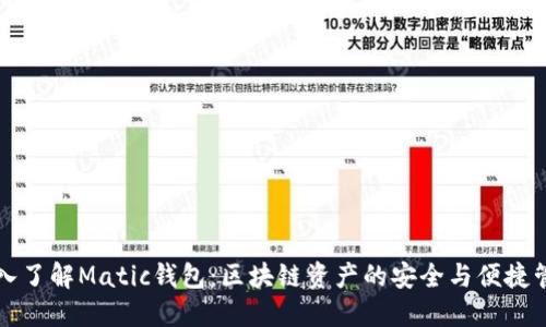 深入了解Matic钱包:区块链资产的安全与便捷管理